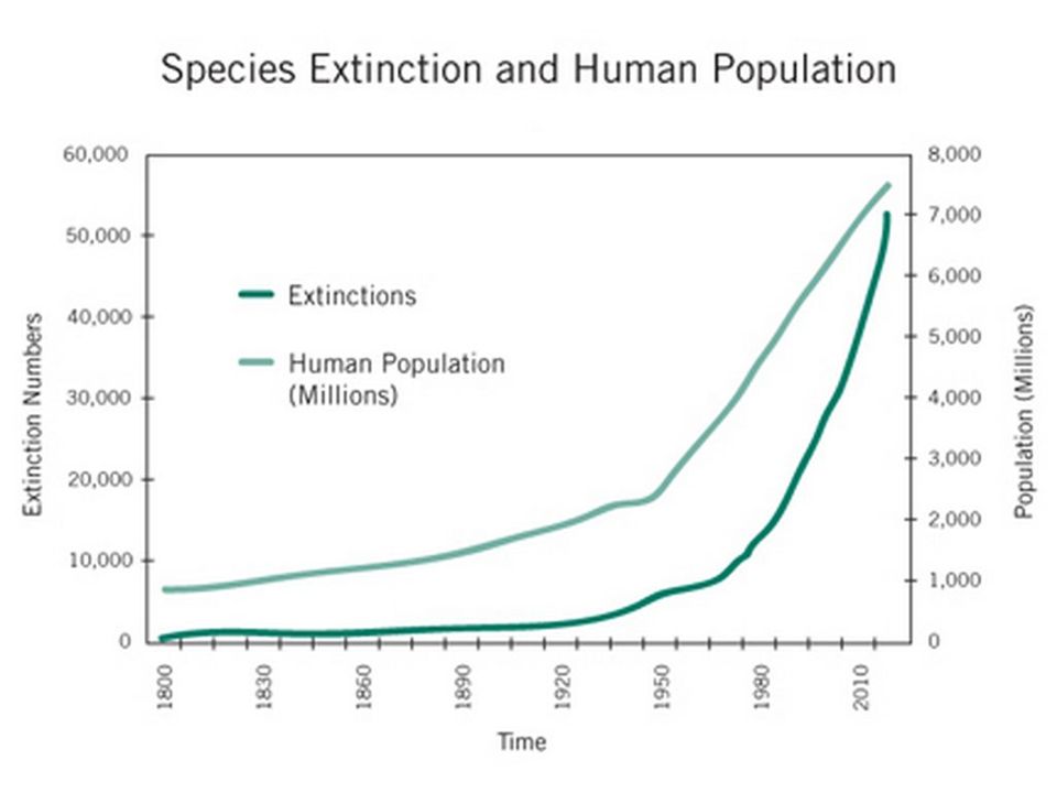 Overpopulation Graph