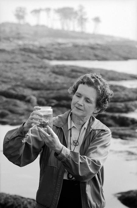 Rachel Carson: a Life Devoted to Prevent the “Silent Spring”